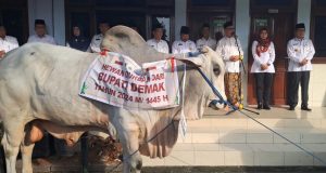 Jelang Idul Adha 1445 Hijriyah, Bupati dan Wakil Bupati Demak Serahkan Hewan Qurban di MAD