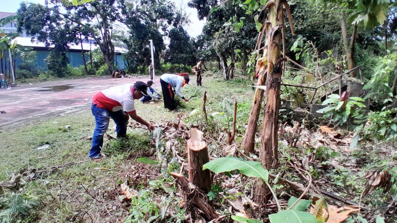 Jalankan Program Ketahanan Pangan, Pemdes Pulosari Demak Sulap Lahan Tidur Menjadi Produktif