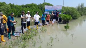 Tanam 1.000 Bibit Mangrove di Demak, Gus Yasin: Jangan Salahkan Siapa-siapa, Mari Bergerak Bersama